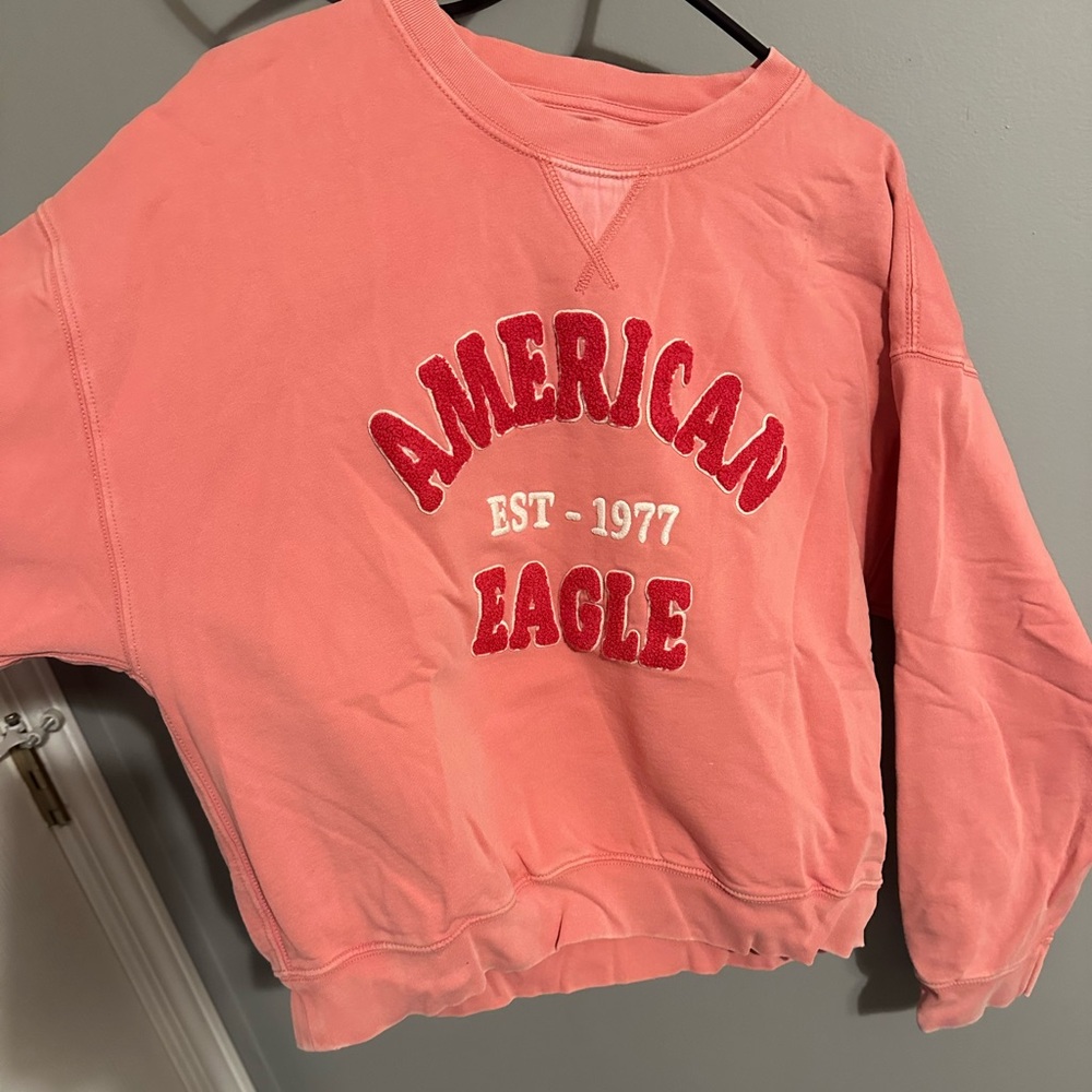American Eagle Outfitters Coral Crew Neck Sweater